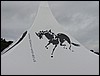 indianola 032.jpg