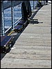 indianola 102.jpg