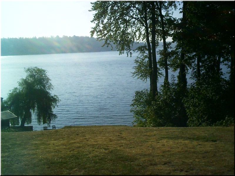 aug1o4 George in the Woods2.jpg