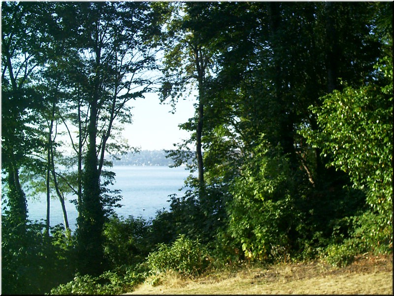 aug1o4 George in the Woods4.jpg