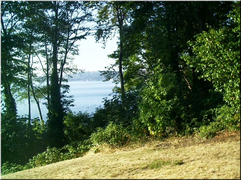 aug1o4 George in the Woods5.jpg