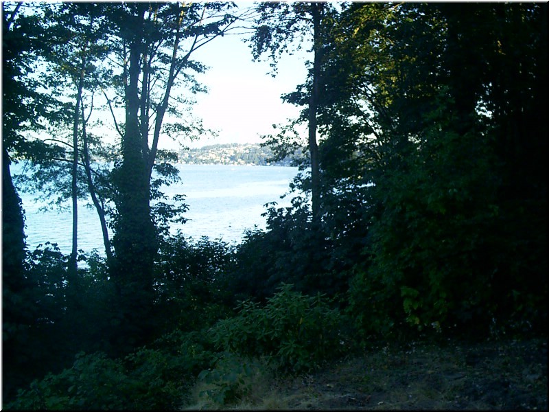 aug1o4 George in the Woods8.jpg