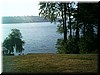aug1o4 George in the Woods2.jpg