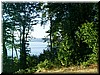 aug1o4 George in the Woods4.jpg