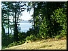 aug1o4 George in the Woods5.jpg
