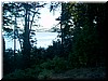 aug1o4 George in the Woods8.jpg