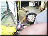 aug3o4 George repaired6.jpg